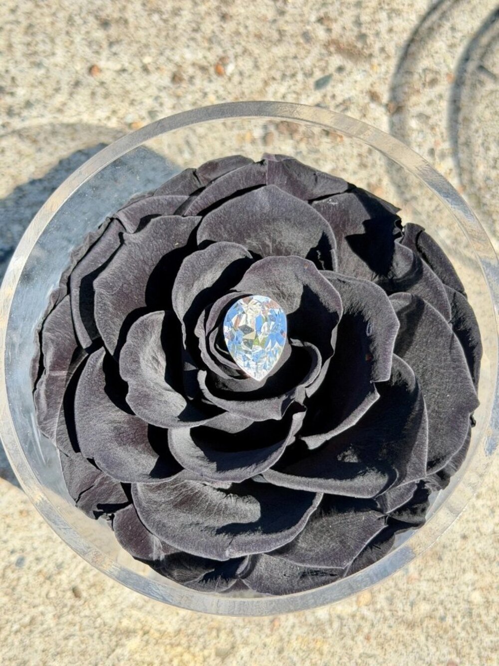 La Fleur Black Preserved Rose Acrylic Display Set of 2 Crystal Rhinestone Decor